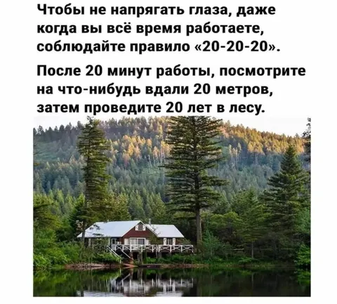Правило 20-20-20 в лесу