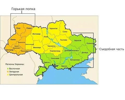 Горькая попка и судебная часть