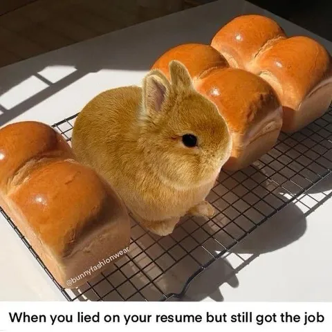 Rabbit Faked Its Resume