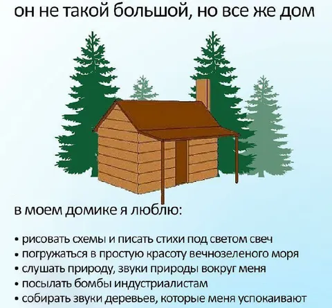 Домик в лесу и странные увлечения