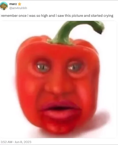 High and Crying at Pepper