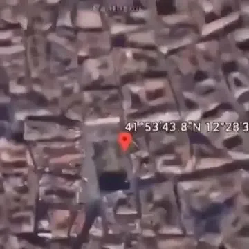 Кот в Ларго ди Торре Арджентина