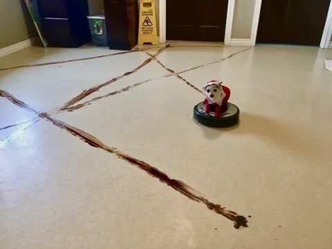 Dog Drives Robot Vacuum
