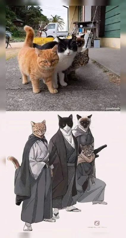 Коты в образе самураев