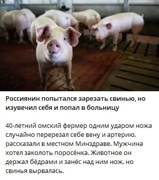 Фермер сам себя ранил ножом