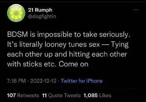 BDSM Is Impossible to Take Seriously