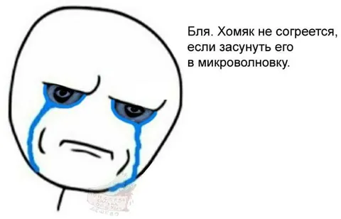 Хомяк не согреется в микроволновке