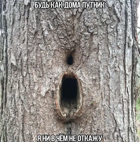 Будь как дома, путник