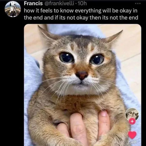 Everything Will Be Okay Cat