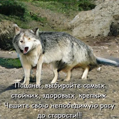 Непобедимая раса до старости