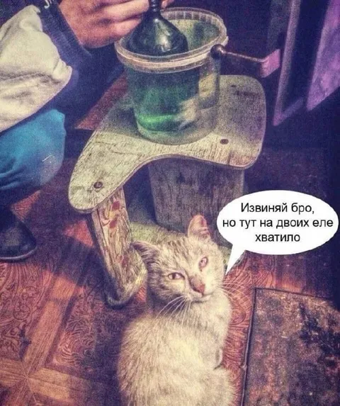 На двоих еле хватило