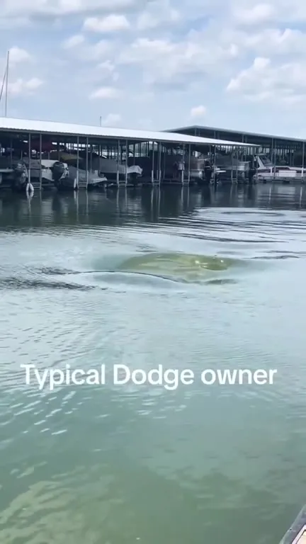 Typical Dodge Owner Drives Into Water