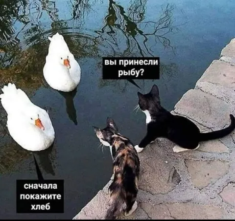 Сначала покажите хлеб