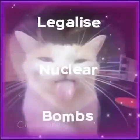 Legalise Nuclear Bombs Cat