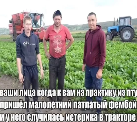 Фембой устроил истерику в тракторе
