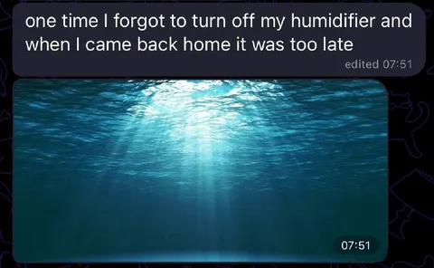 Forgot to Turn Off Humidifier
