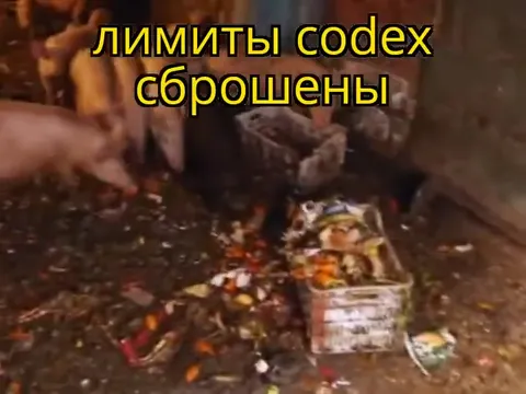 Лимиты Codex сброшены