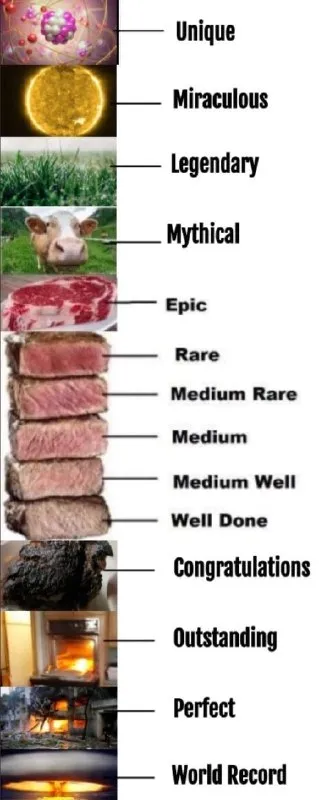 Steak Doneness Achievement Levels