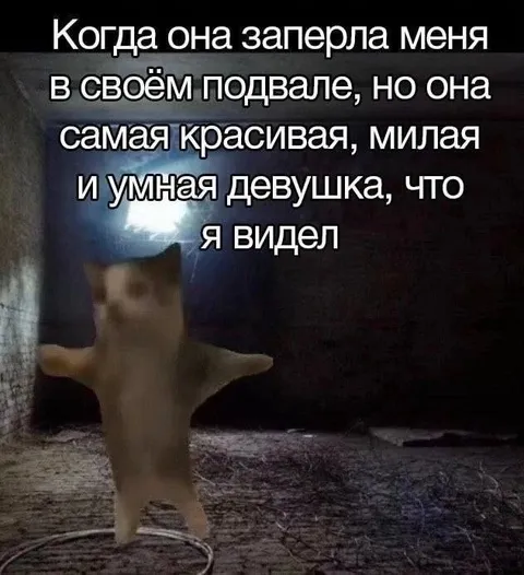 Девушка заперла в подвале