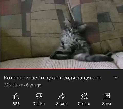 Котенок икает и пукает на диване
