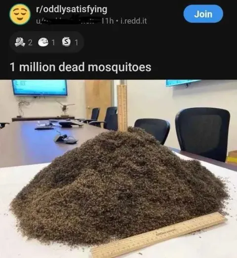 One Million Dead Mosquitoes