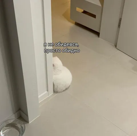 Я не обиделся, просто обидно