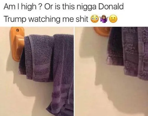 Donald Trump Watching Me Shit