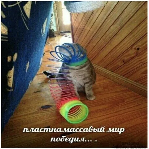 Пластмассовый мир победил