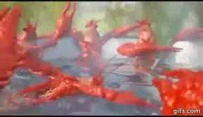 Раки танцуют в воде