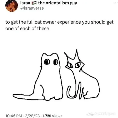 Full Cat Owner Experience