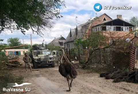 Админ замечен на Украине