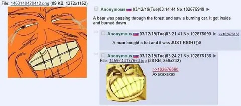 Just Right Hat Bear Joke