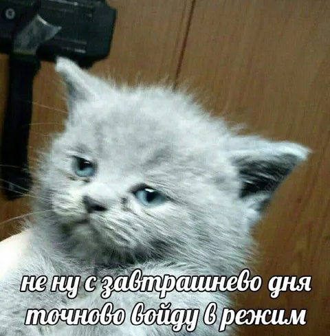 С завтрашнего дня в режим