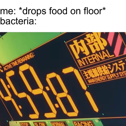 Bacteria After Food Hits Floor