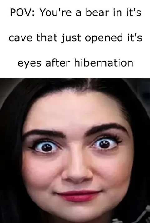 Bear Wakes After Hibernation