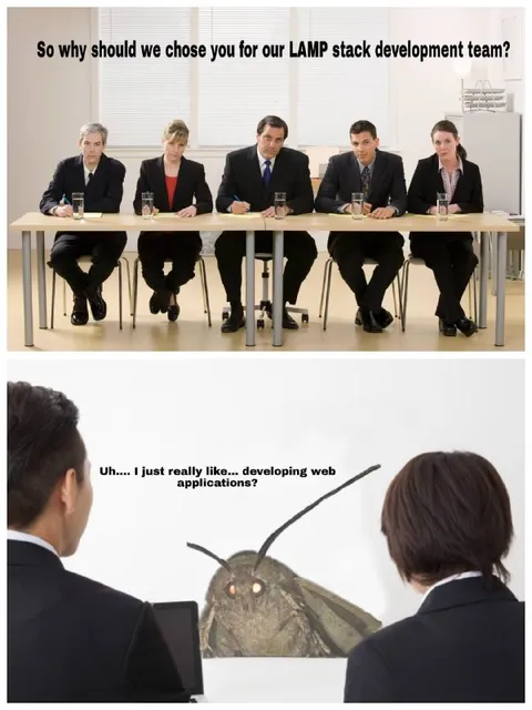 Moth Applies for LAMP Team