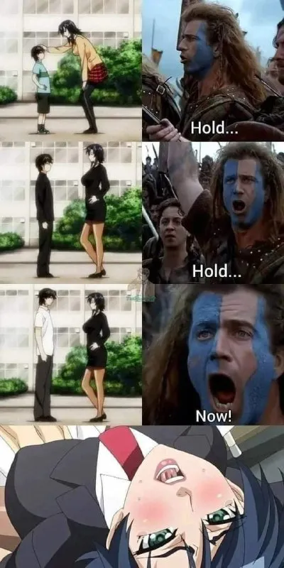 Hold Hold Now Reaction