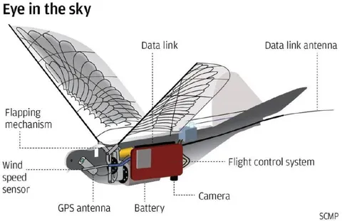 Robotic Bird Surveillance Diagram