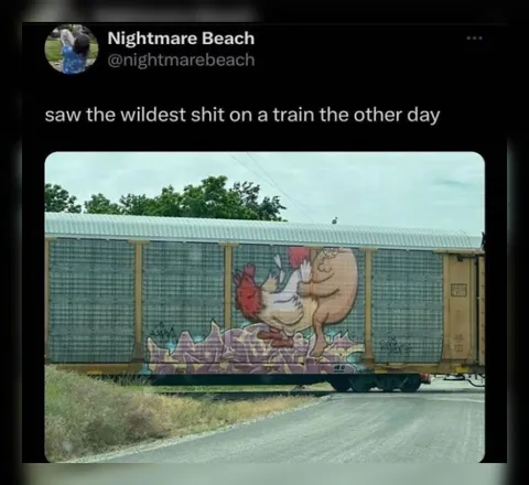 Wildest Shit on a Train