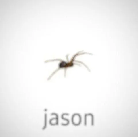 Jason the Spider