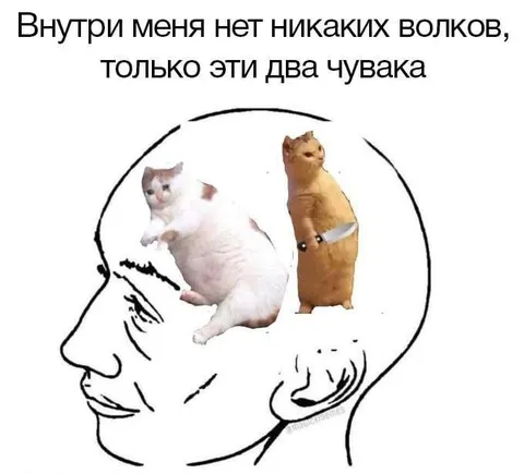 Внутри меня только эти два чувака