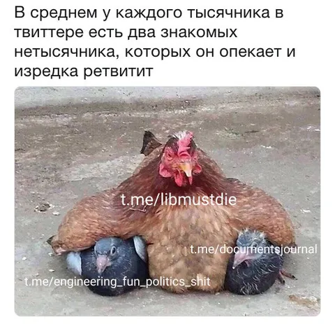 Тысячник и два нетысячника