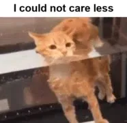 I Could Not Care Less Cat