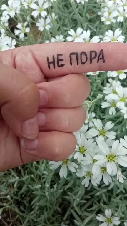 Не пора ли нам бухнуть