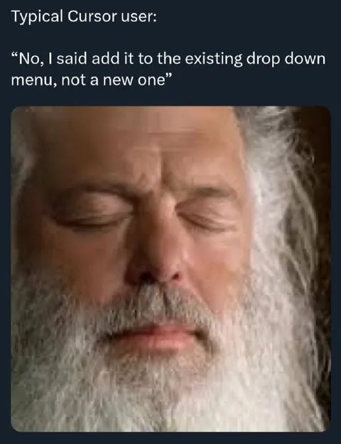 Typical Cursor User Correction