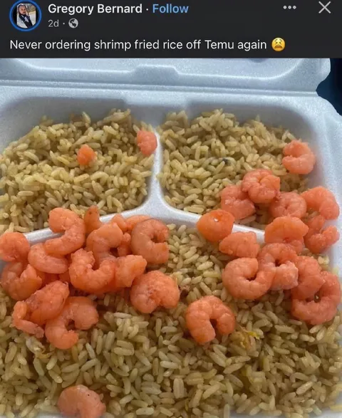 Temu Shrimp Fried Rice Fail