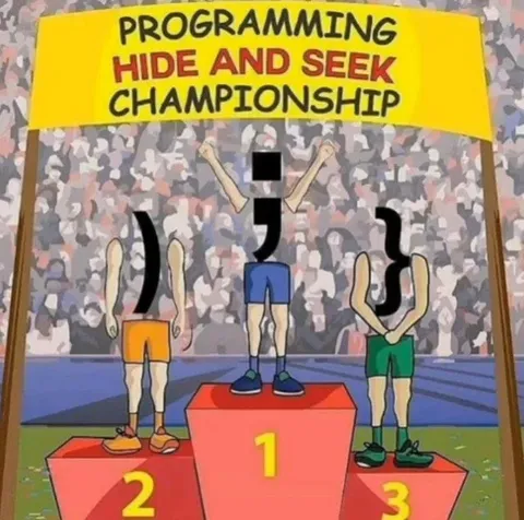 Programming Hide and Seek Championship