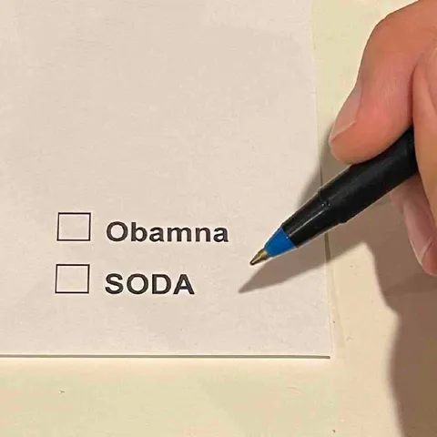 Obama or Soda Checkbox