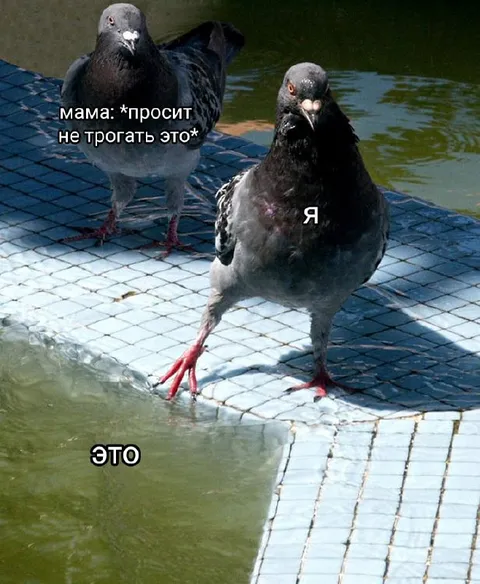 Мама просит не трогать