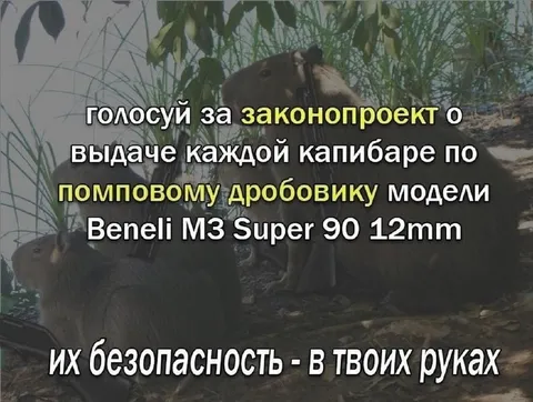 Капибары с помповыми дробовиками